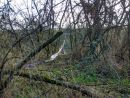 SZ strana - opřít o keříky a zvednout pomocí áčka